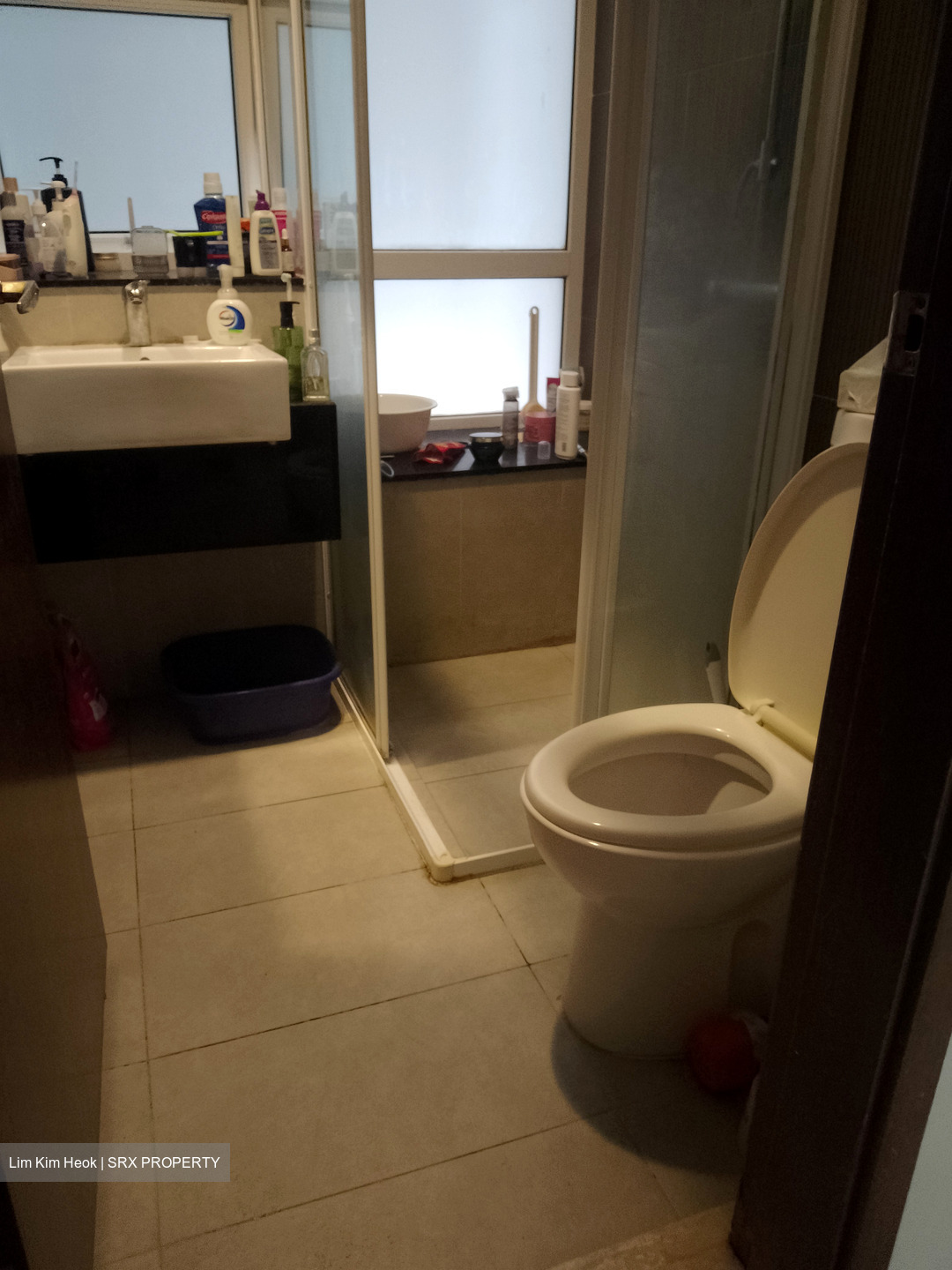 Palm Vista (D15), Apartment #576103721